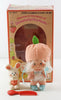 Vintage 1980 Kenner Strawberry Shortcake Apricot With Hopsalot In Box