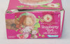 1982 Kenner Strawberry Shortcake Raspberry Tart With Rhubarb In Box
