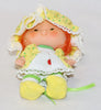 1983 Kenner Strawberry Shortcake Apple Dumplin' With Tea Time Turtle Party Pleaser In Box